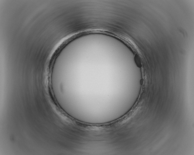 X0000113881124200910221350