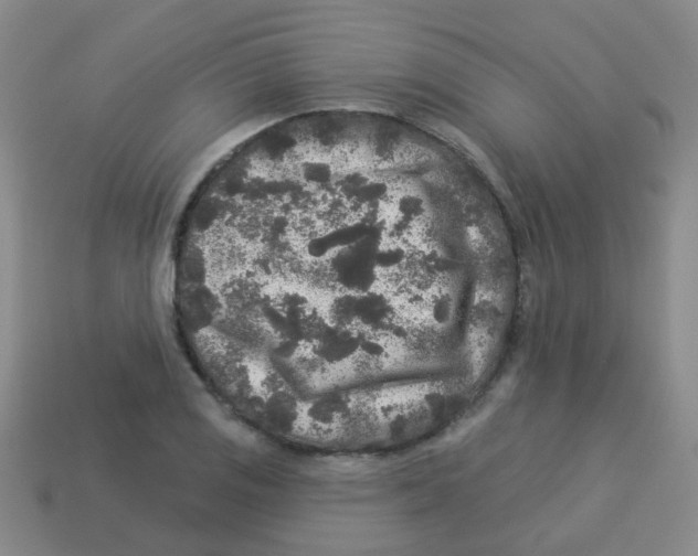 X0000113881125200910221350