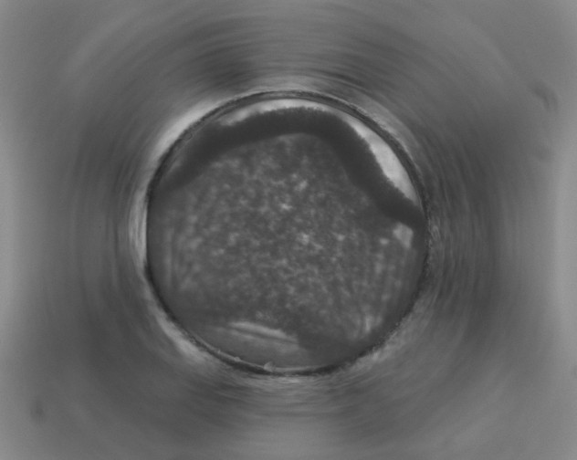 X0000113881127200910221350