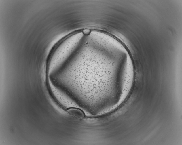 X0000113881128200910221350