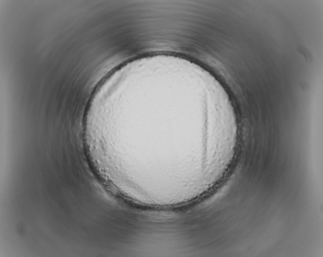X0000113881129200910221350