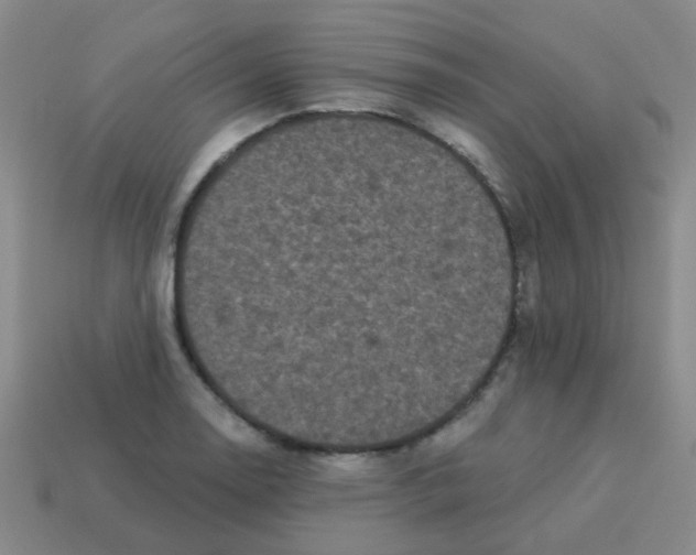 X0000113881130200910221350