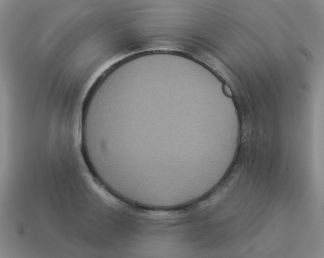 X0000113881132200910221350