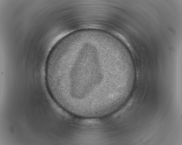 X0000113881133200910221350