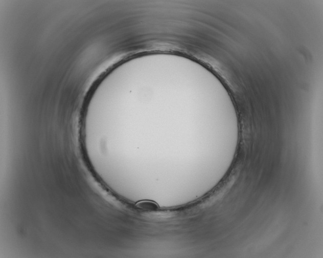 X0000113881134200910221350