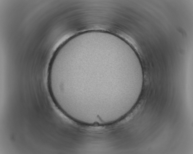X0000113881135200910221350