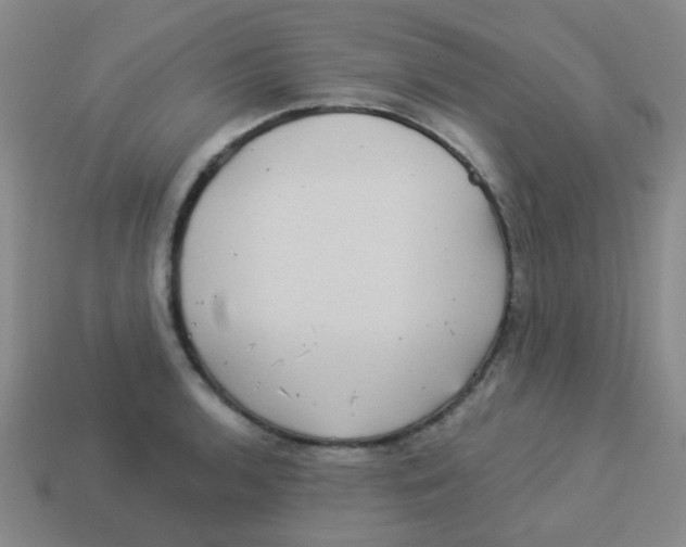 X0000113881136200910221350