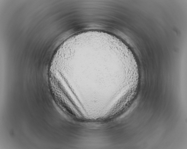 X0000113881137200910221350