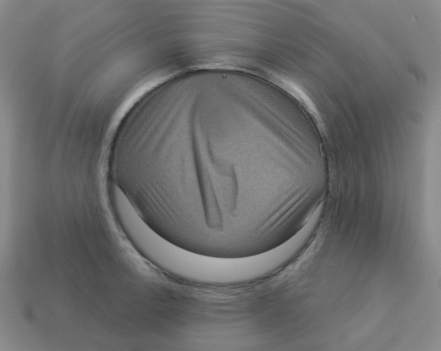 X0000113881138200910221350