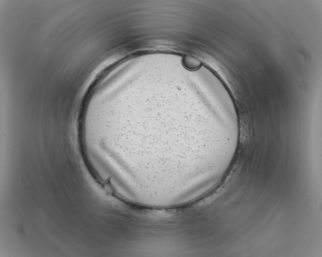 X0000113881139200910221350