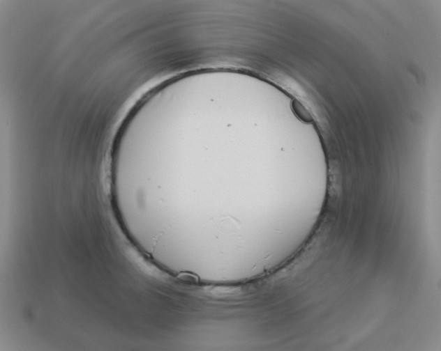 X0000113881140200910221350