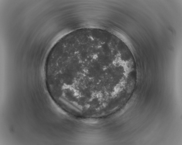 X0000113881141200910221350
