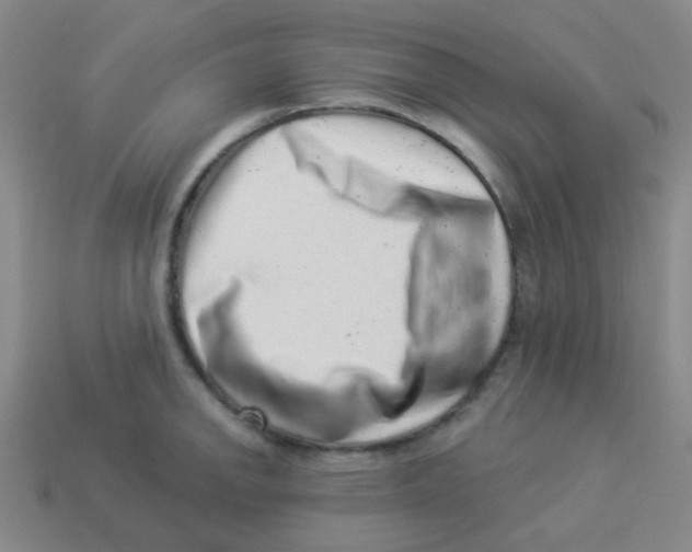 X0000113881142200910221350