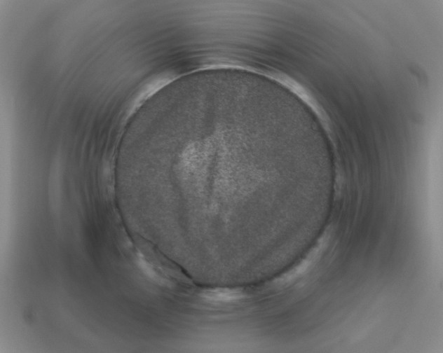 X0000113881145200910221350