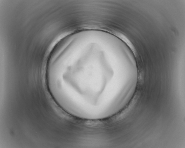 X0000113881146200910221350