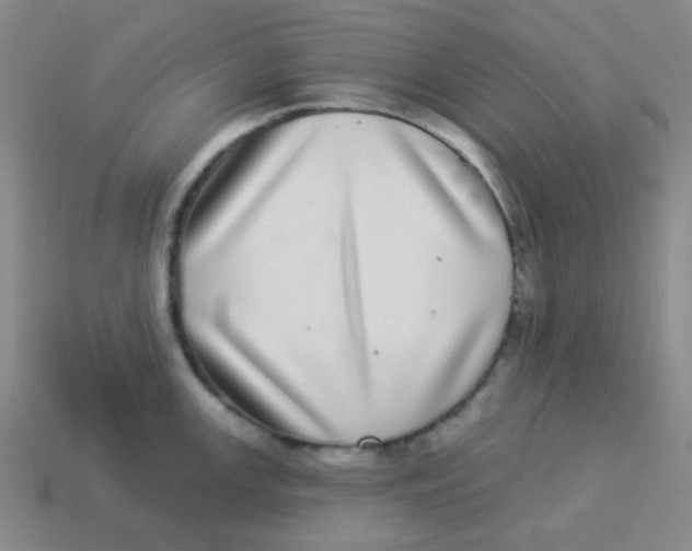 X0000113881147200910221350