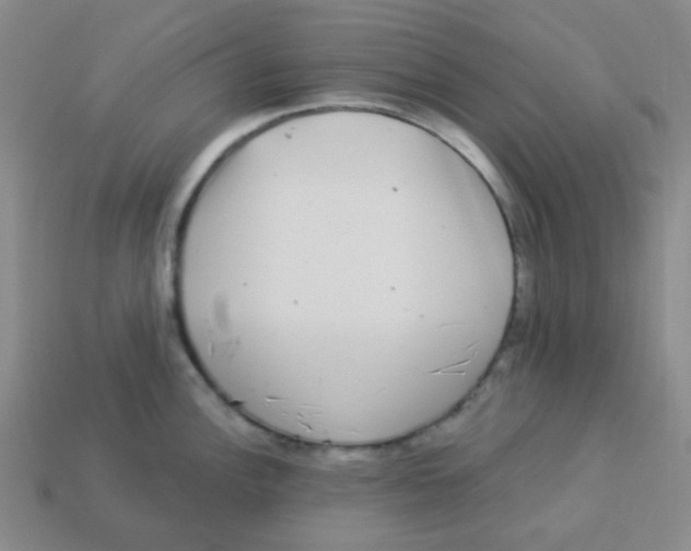X0000113881148200910221350