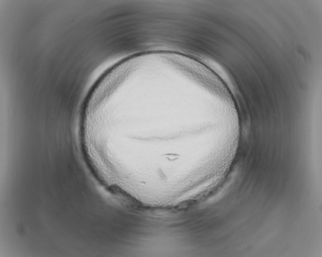 X0000113881149200910221350