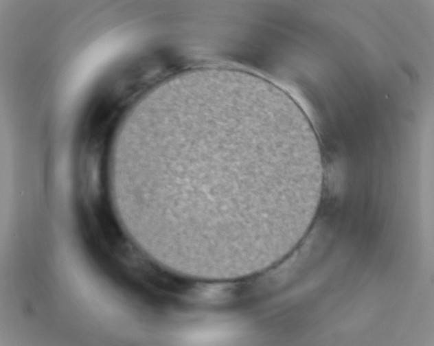 X0000113881150200910221350