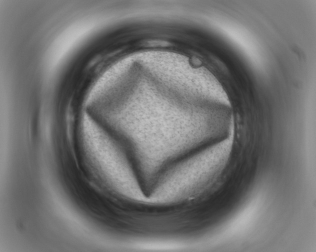 X0000113881151200910221350