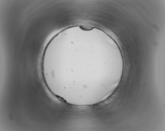 X0000113881152200910221350
