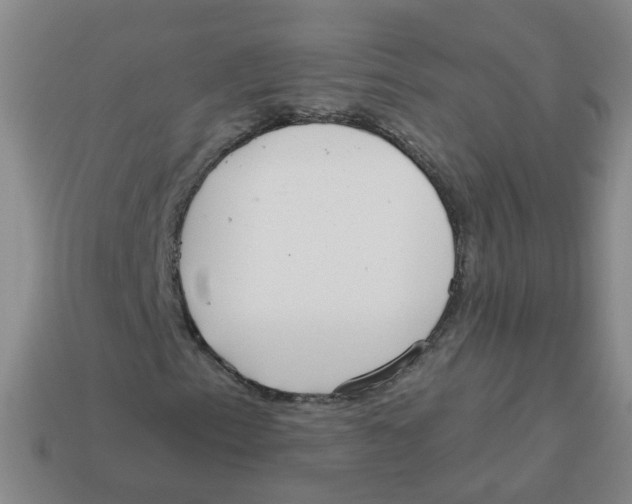 X0000113881153200910221350