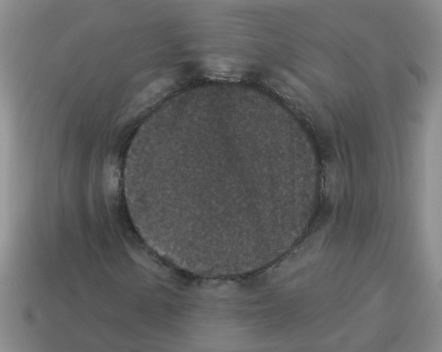 X0000113881154200910221350