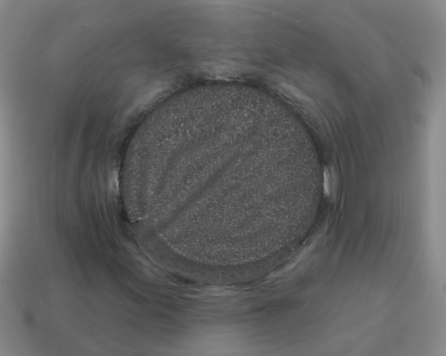 X0000113881155200910221350