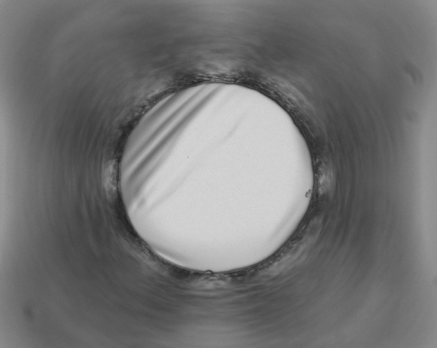 X0000113881156200910221350