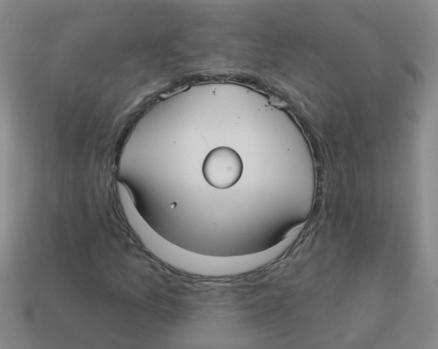 X0000113881157200910221350