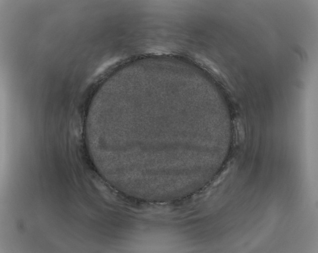 X0000113881158200910221350