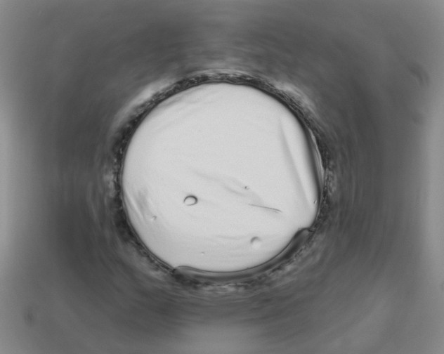 X0000113881159200910221350