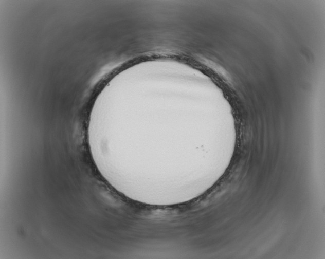 X0000113881160200910221350