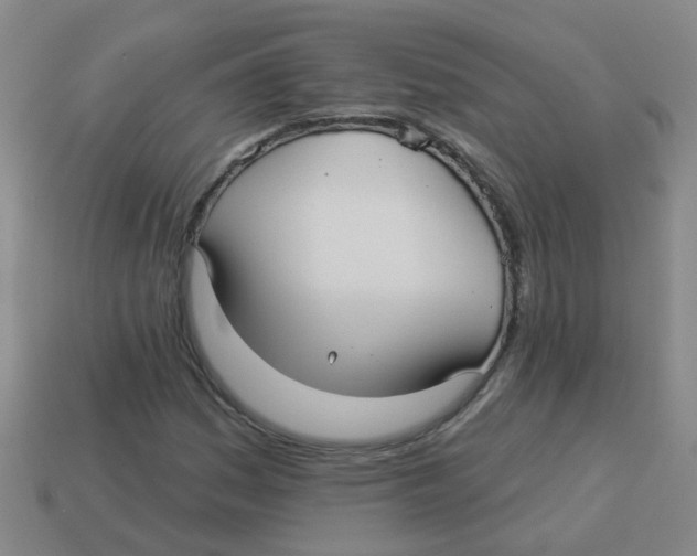X0000113881161200910221350