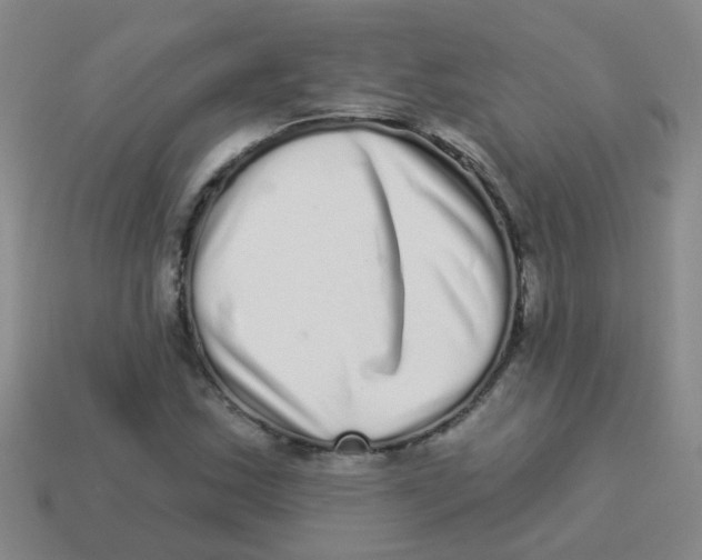 X0000113881163200910221350