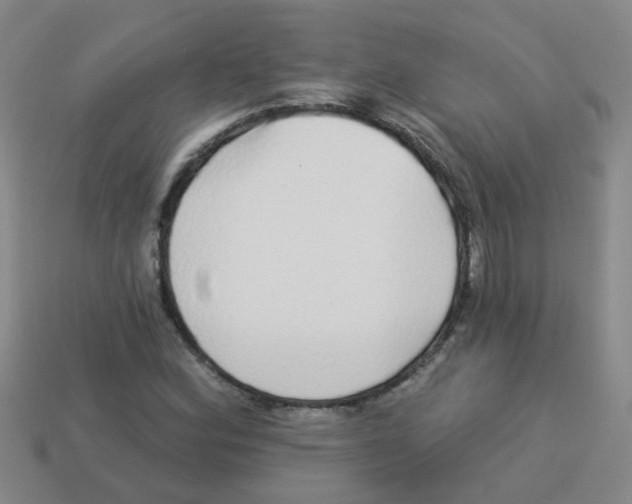 X0000113881164200910221350