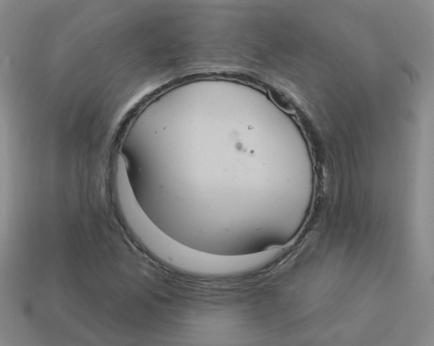 X0000113881165200910221350