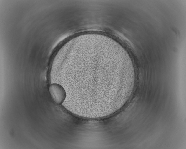 X0000113881166200910221350