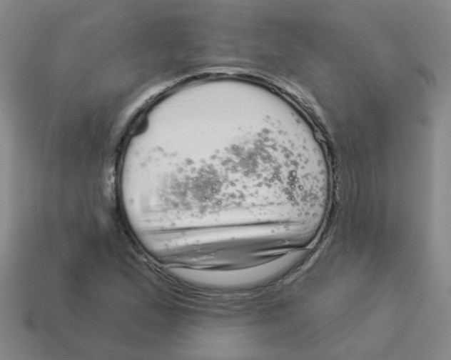X0000113881167200910221350