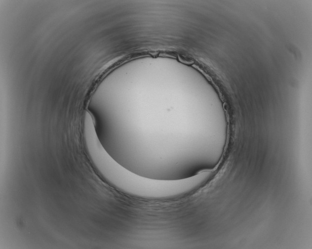 X0000113881169200910221350