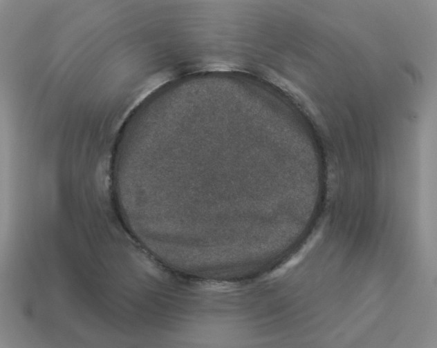 X0000113881170200910221350