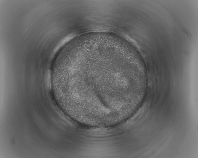 X0000113881171200910221350
