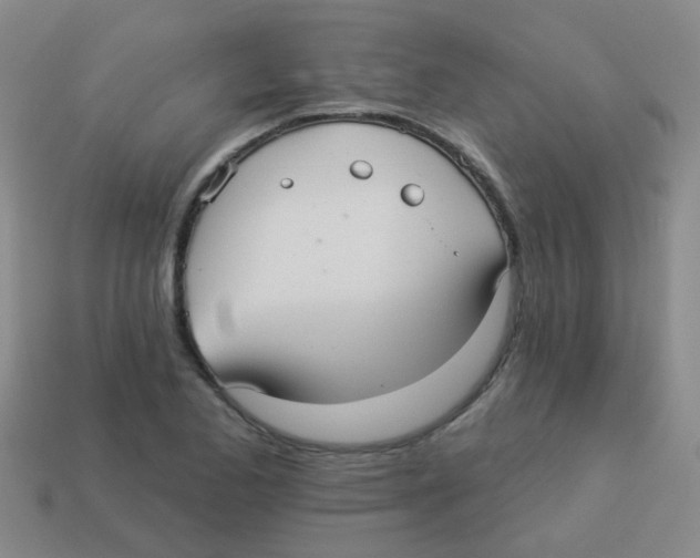 X0000113881173200910221350