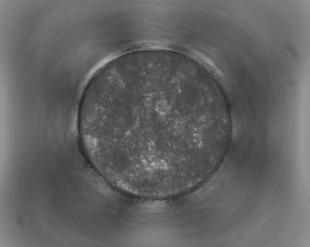 X0000113881174200910221350