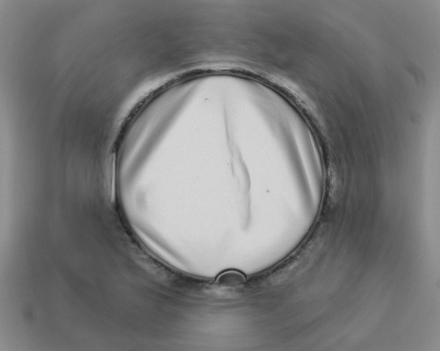 X0000113881175200910221349