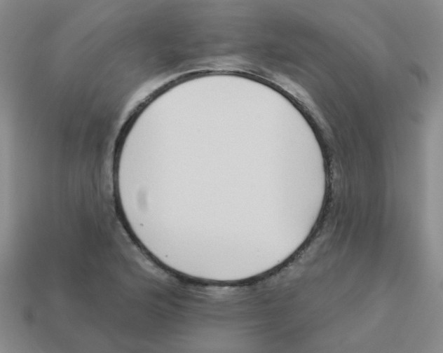 X0000113881176200910221349