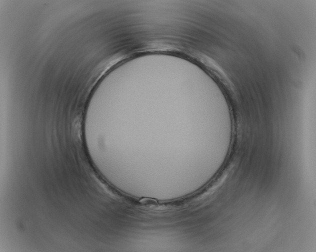 X0000113881177200910221349