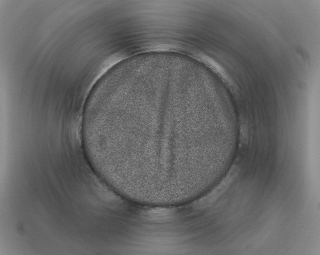 X0000113881178200910221349