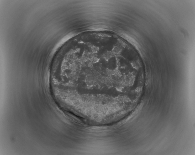 X0000113881179200910221349