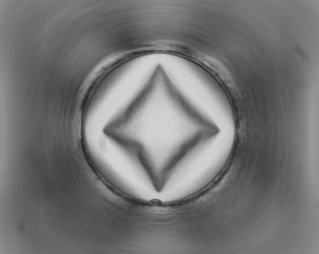 X0000113881180200910221349